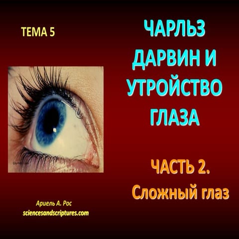 Russian 5 | PPT