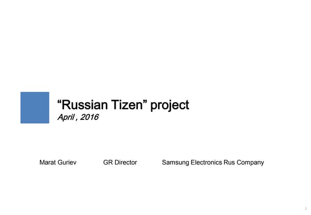Russian Tizen Project