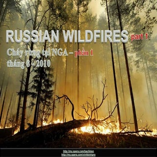 RUSSIAN   wildfires  part 1 (Cháy r...