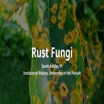 Rust Fungi By Sarah Ashfaq 51 Botanist PU | PPTX