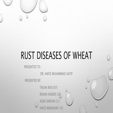 Rust of wheat | PPTX