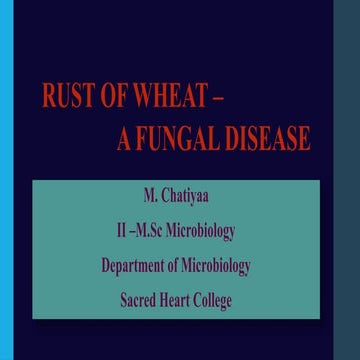 RUST OF WHEAT/ A FUNGAL DISEASE/ LIFE CYCLE/ SYMPTOMS/ MANAGEMENT