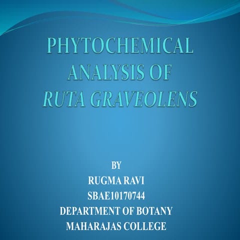 PHYTOCHEMICAL ANALYSIS OF RUTA GRAVEOLENS 