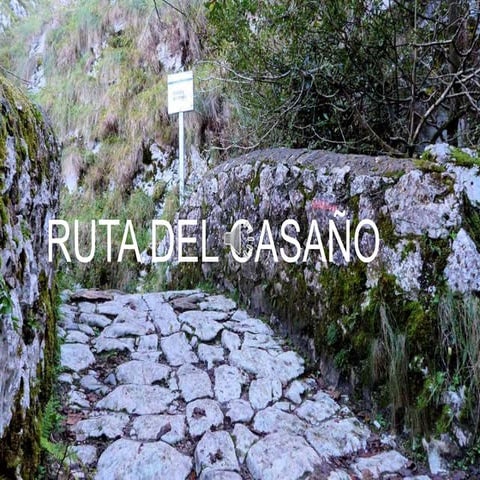 Ruta del casaño