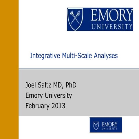 Integrative Multi-Scale Analyses