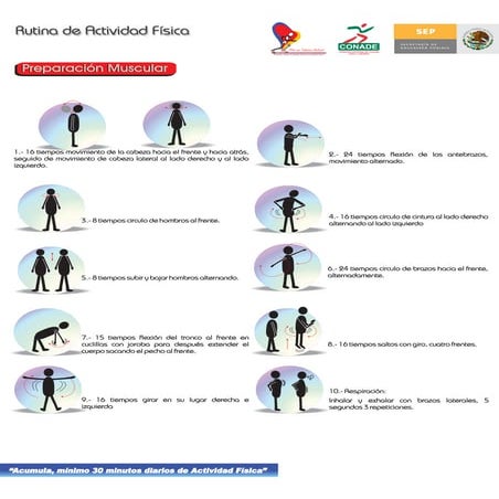 Rutina de actividad fisica