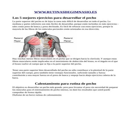 Rutina de pecho volumen | PDF