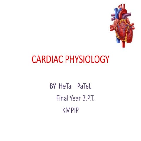 cardiac physiology