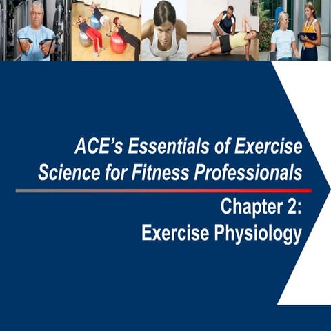 02_-_Execise_Physiology.pdf