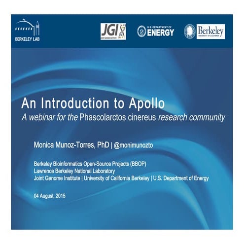 Apollo - A webinar for the Phascolarctos cinereus research community
