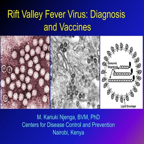 Rift Valley fever virus: Diagnosis and vaccines