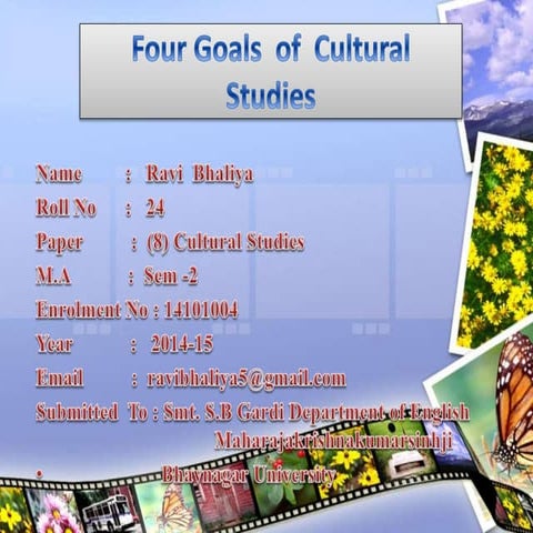 Four Goals of Cultural Studies