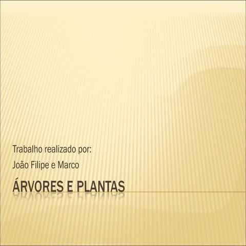 áRvores e plantas marco e joão