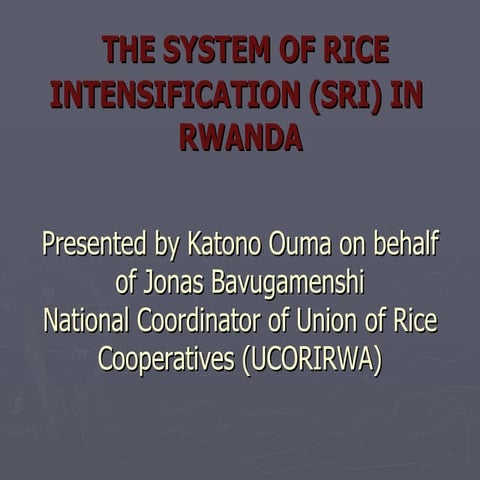 THE SYSTEM OF RICE INTENSIFICATION (SRI) IN  RWANDA