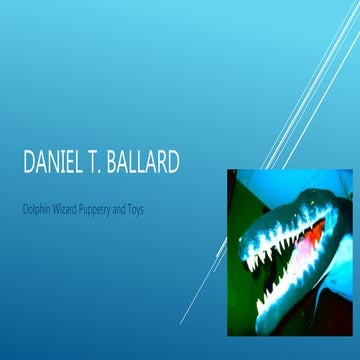 Daniel Ballard — DolphinWizard Company