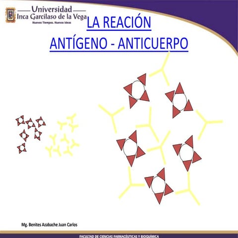 Inmunocomplejo: complejo antigeno-anticuerpo | DOCX