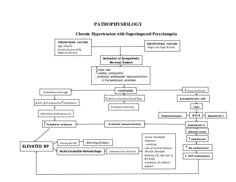 Pathophysiology of Chronic HPN with Superimposed Pre eclampsia