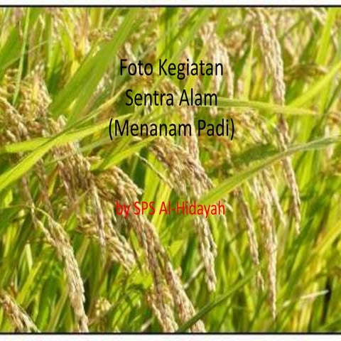 Foto Kegiatan Sentra Alam Pptx