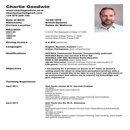 CV Simon Johnson PDF | PDF
