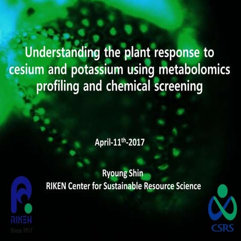 Understanding The Plant Response To Cesium And Potassium Using Metabolomics Profiling And Chemicals Screening