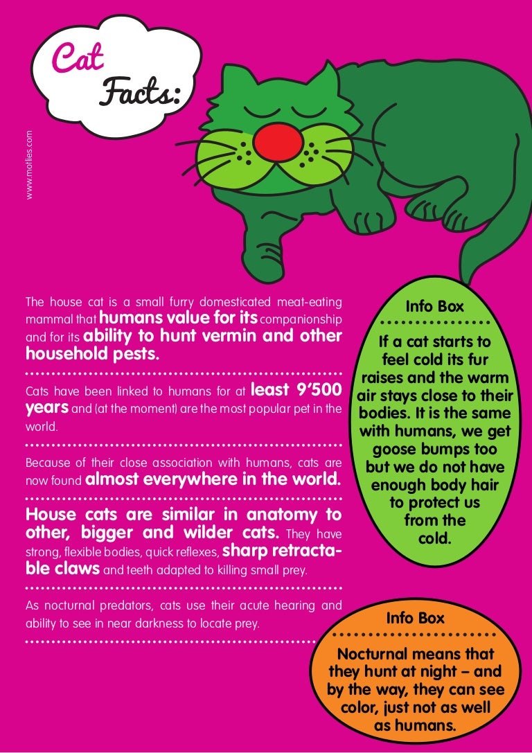 Cat facts