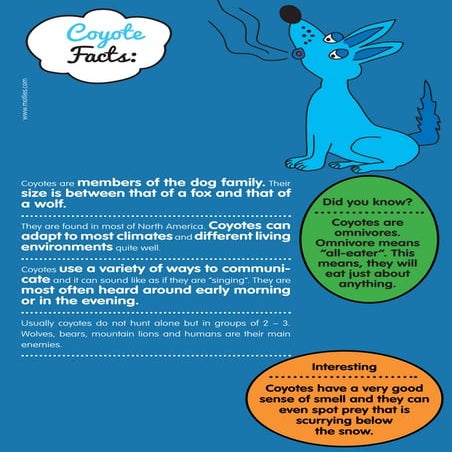 Coyote facts | PDF