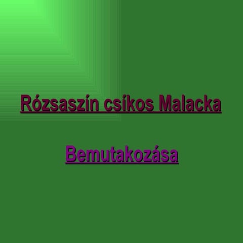 Rózsaszín csíkos malacka