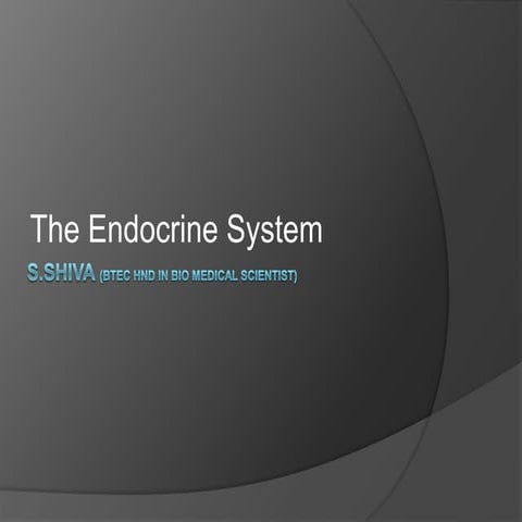 Endocrine System