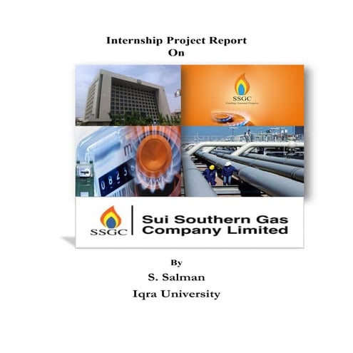 Summer Internship Project Report on 'e-Procurement' SUI SOUTHERN GAS COMPANY