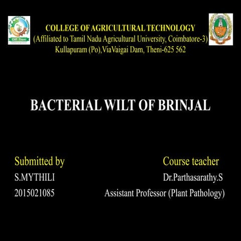 S.mythili 2015021085-bacterial wilt of brinjal