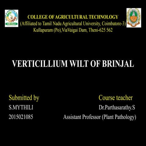 S.mythili 2015021085-verticillium wilt of brinjal