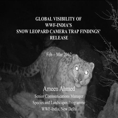 GLOBAL VISIBILITY OF WWF-INDIA’S SNOW LEOPARD CAMERA TRAP FINDINGS ...