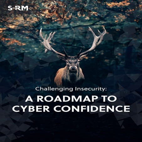 Challenging Insecurity: A Roadmap to Cyber Confidence