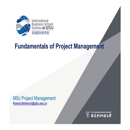 Fundamentals of project management | PDF