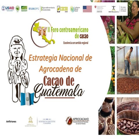 S1.pm3 Estrategia Nacional de Cacao en Guatemala