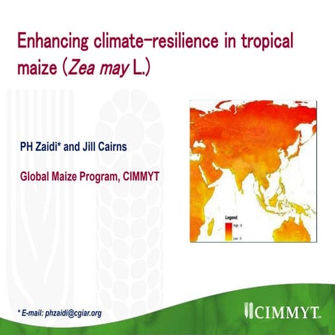 S 1.2 Enhancing climate-resilience in tropical maize (Zea may L.)