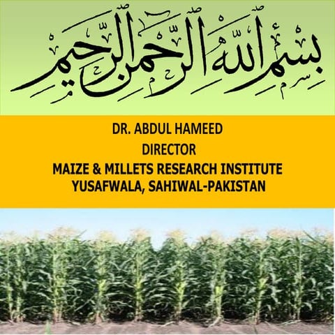 S1.5.MAIZE & MILLETS RESEARCH INSTITUTE