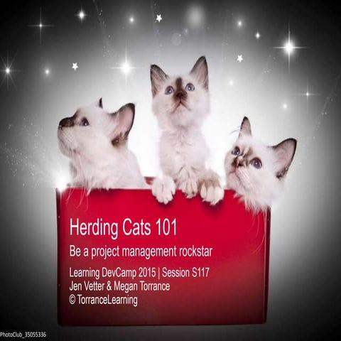 Herding Cats 101 Be a Project Management Rockstar