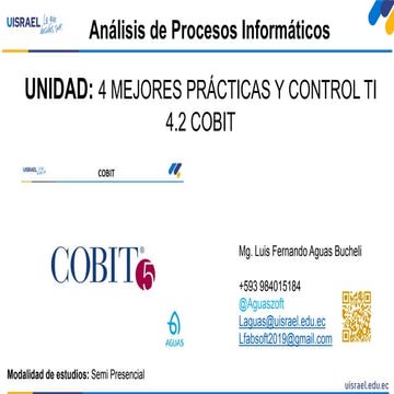 13-COBIT-Análisis de procesos informáticos