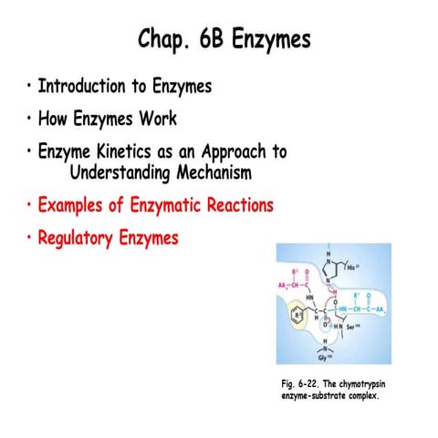 s15-miller-chap-6b-lecture.ppt