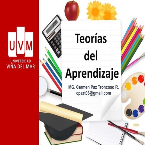 S 2 presencial neurociencias