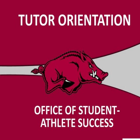 S2013 tutor training presentation