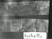 S2K Deforestation Art