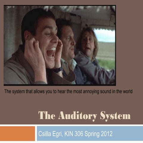 Anatomy and Physiology of the Auditory System