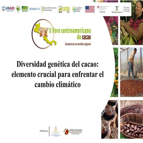 S3.p1.2 Diversidad genética del cacao: elemento crucial para enfrentar el cam...