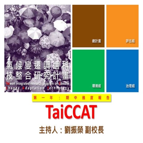Tai ccat 2013 期中報告