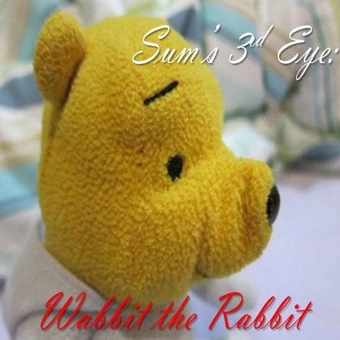 S3E : Wabbit the Rabbit | PPTX