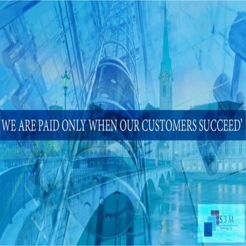 S3M business overview