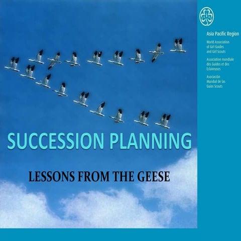 Lessons from the Geese? | PPT