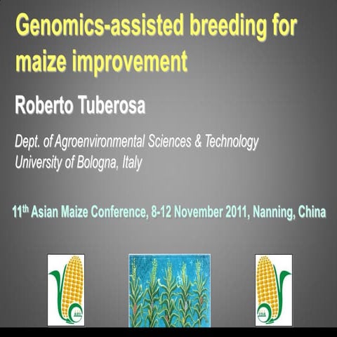 S4.1  Genomics-assisted breeding for maize improvement
